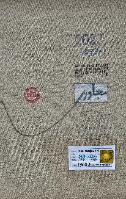 زور گویی که روی زمین نشسته