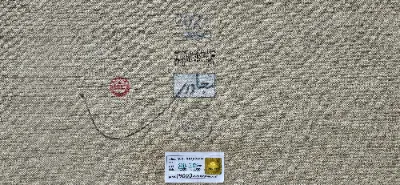 زور گویی که روی زمین نشسته